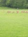IMG_20250528_151041_1