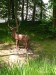 IMG_20250528_120853_1
